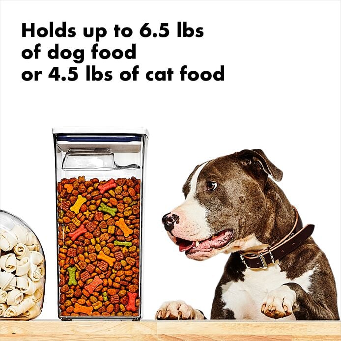 OXO Good Grips Pet POP Container ?C 6.0 Qt/5.7 L with Half Scoop