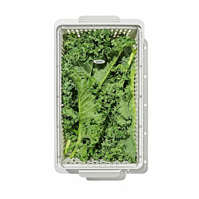 Produce Saver - Medium Bin