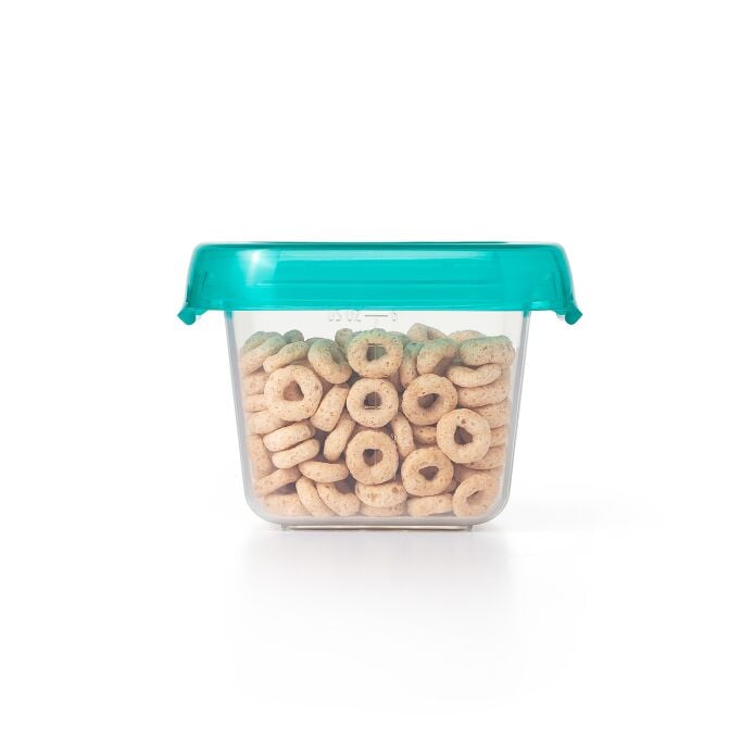 6 oz Baby Blocks? Plastic Freezer Storage Containers