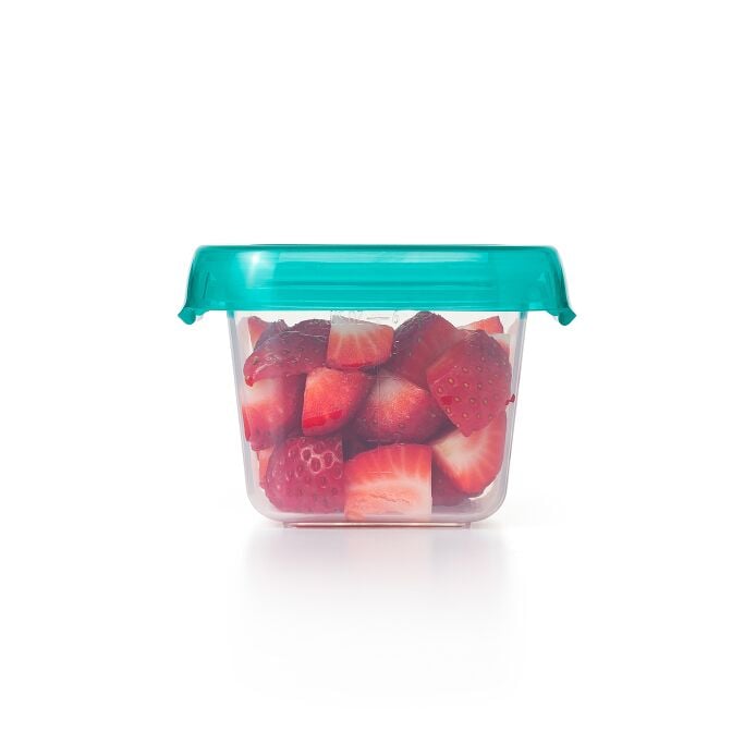 6 oz Baby Blocks? Plastic Freezer Storage Containers